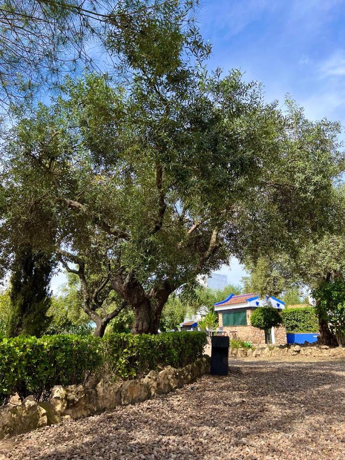 Complejo Rural Mirador De La Alcaidia Villa Hornachuelos Luaran gambar