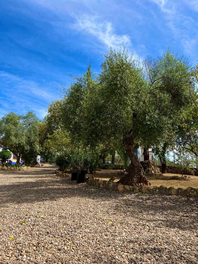 Complejo Rural Mirador De La Alcaidia Villa Hornachuelos Luaran gambar